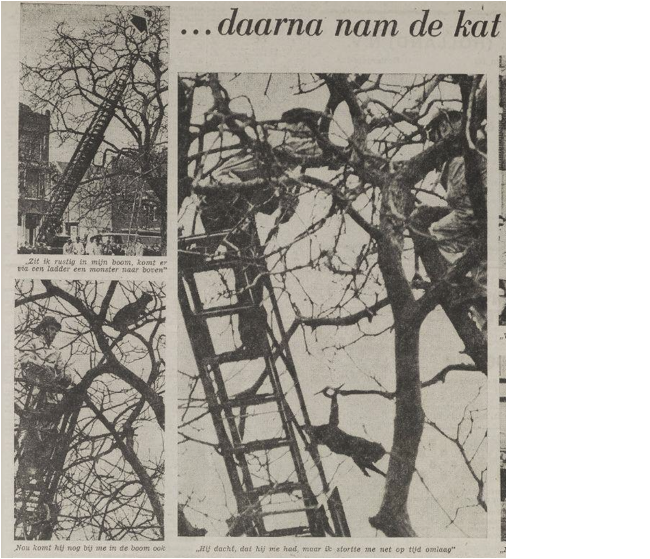 Macintosh HD:Users:jwflier:Desktop:Schermafbeelding 2014-10-04 om 08.39.42.png